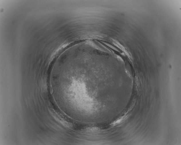 X0000074340203200609011636