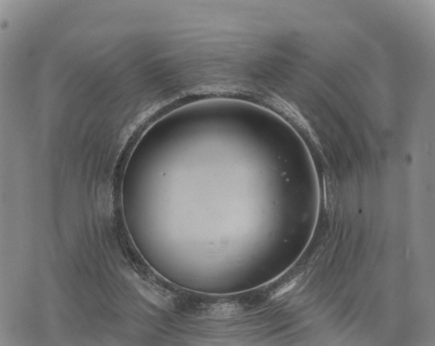 X0000074340204200609011636