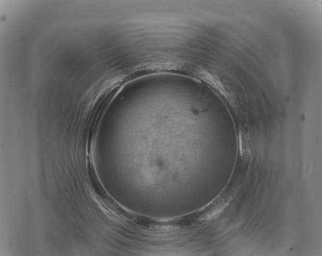 X0000074340205200609011636