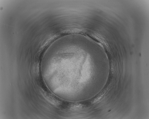 X0000074340206200609011636