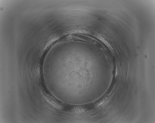 X0000074340207200609011636