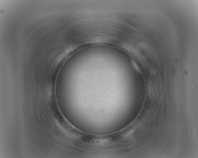 X0000074340208200609011636