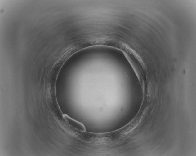 X0000074340209200609011636