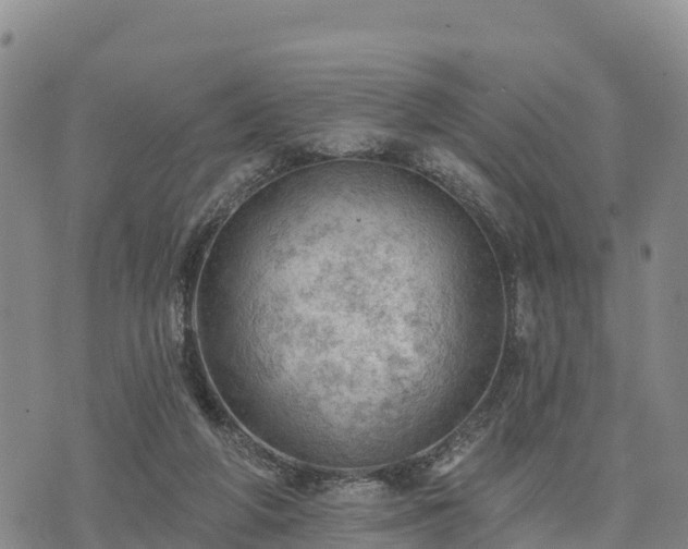 X0000074340210200609011636