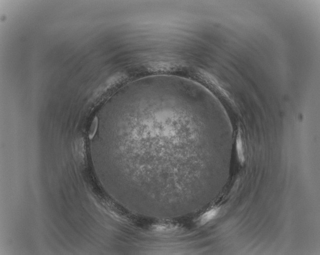 X0000074340211200609011636