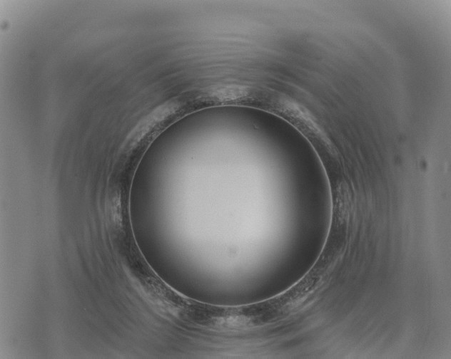 X0000074340212200609011636