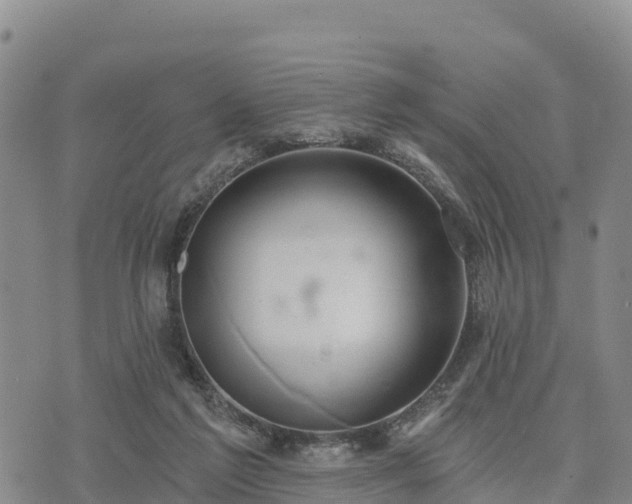 X0000074340213200609011636