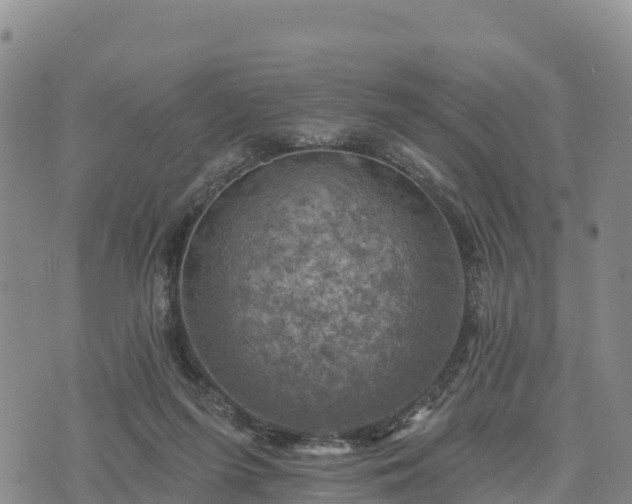 X0000074340215200609011636