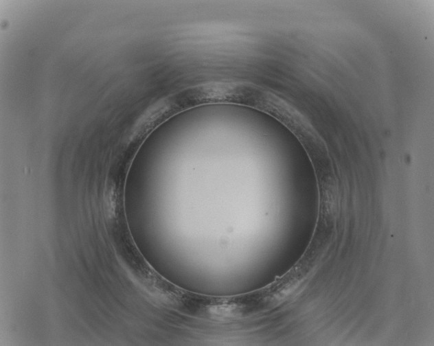 X0000074340216200609011636