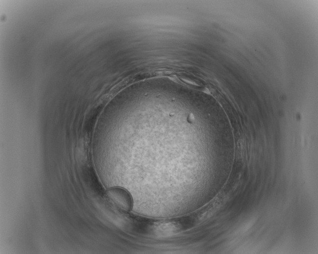 X0000074340218200609011636