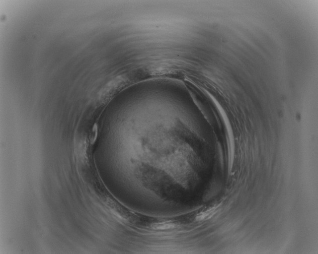 X0000074340219200609011636