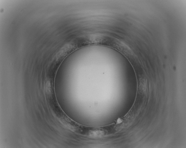 X0000074340220200609011636