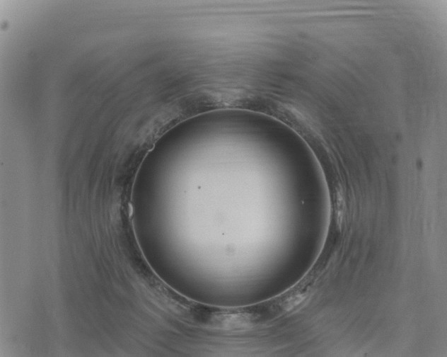 X0000074340221200609011636