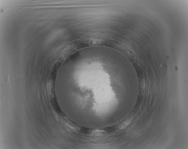 X0000074340222200609011636