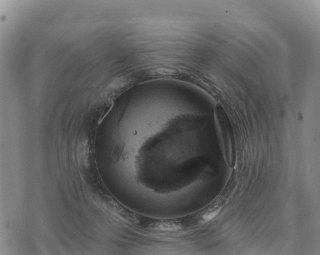 X0000074340223200609011636