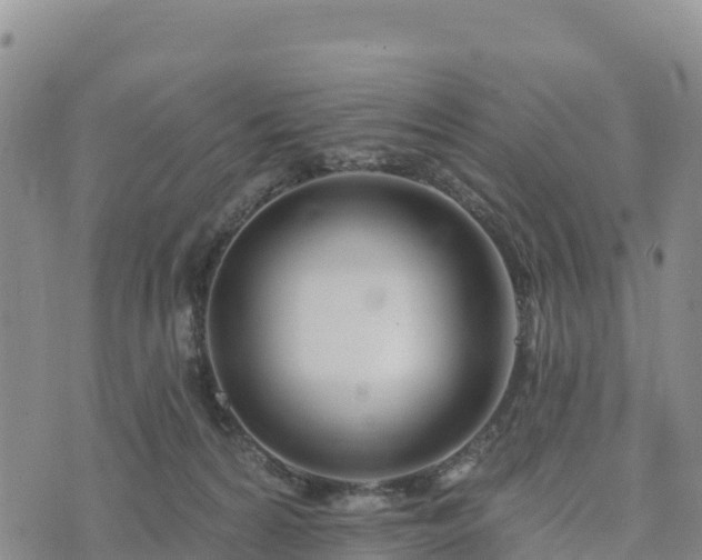 X0000074340224200609011636