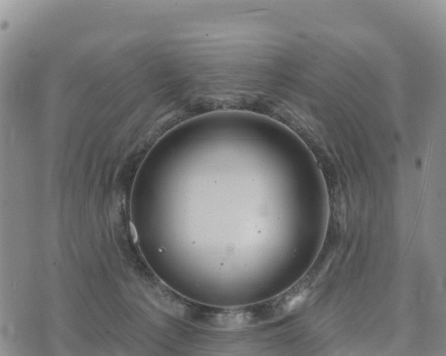 X0000074340225200609011636