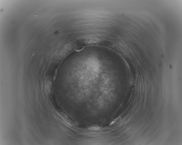 X0000074340227200609011636