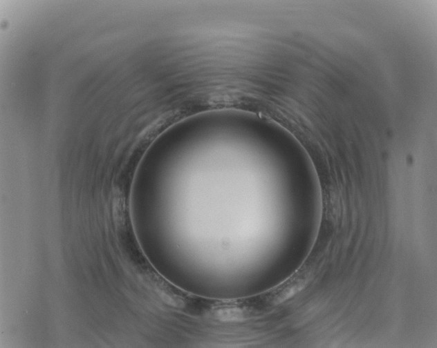 X0000074340228200609011636