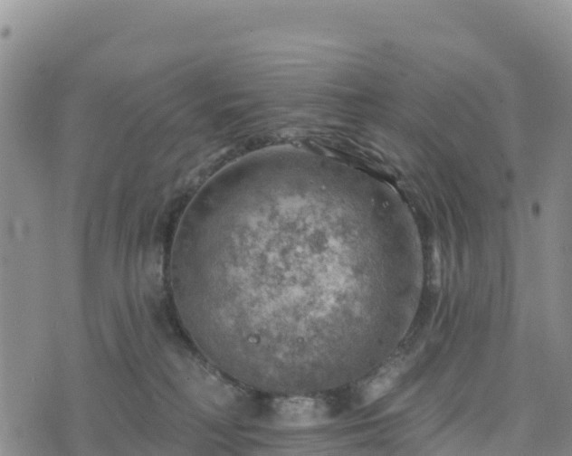 X0000074340230200609011636