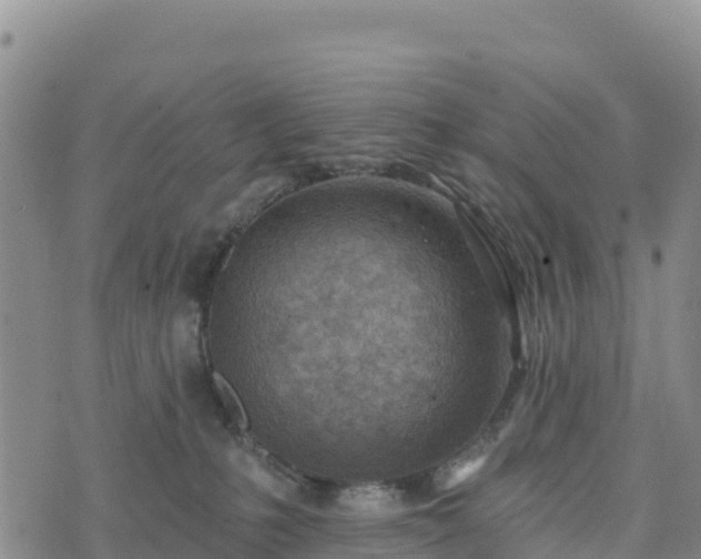 X0000074340231200609011636