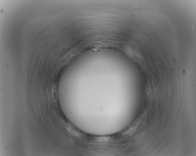 X0000074340233200609011636