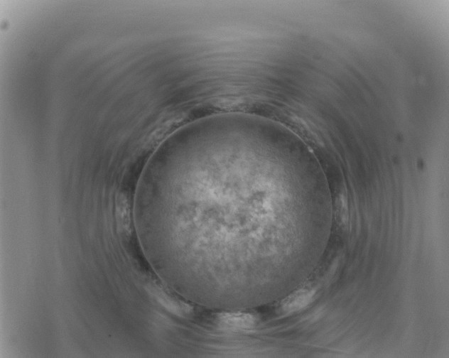 X0000074340234200609011636