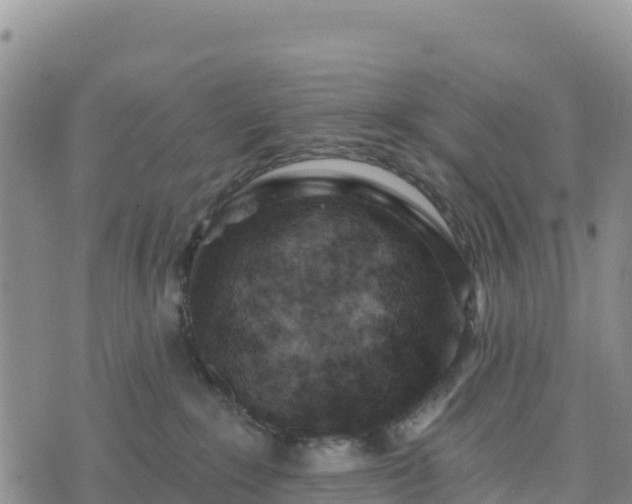 X0000074340235200609011636