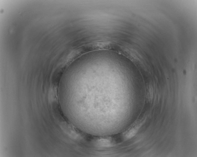 X0000074340236200609011636