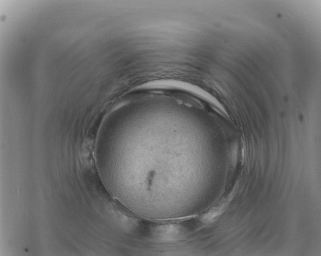 X0000074340237200609011636