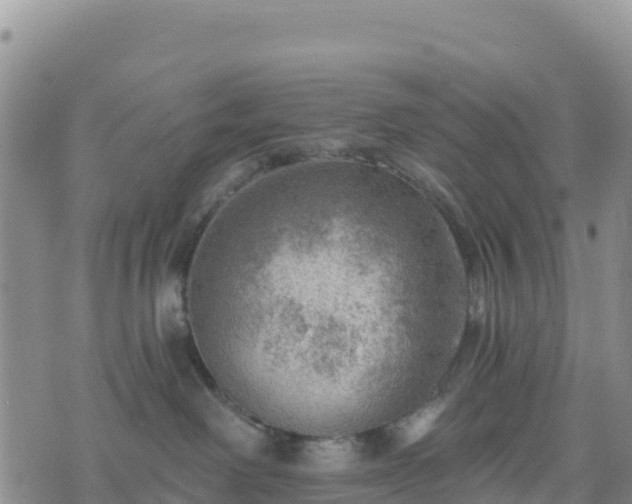 X0000074340238200609011636