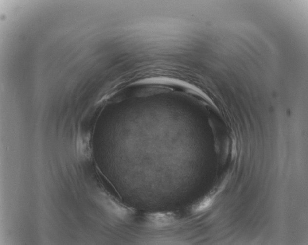 X0000074340239200609011636