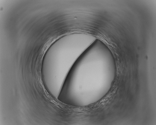 X0000074340241200609011635