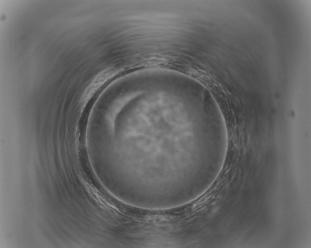 X0000074340242200609011635