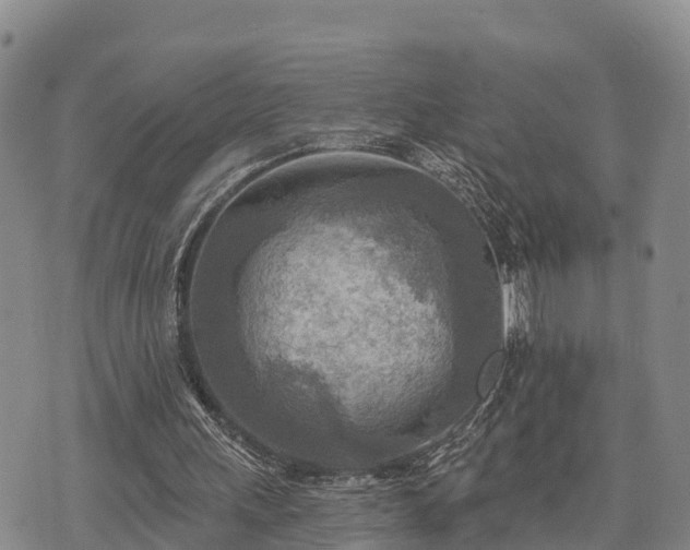 X0000074340243200609011635