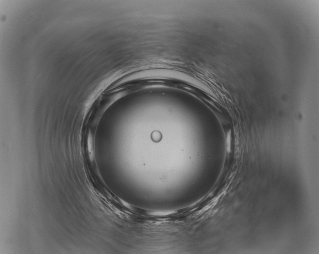 X0000074340244200609011635