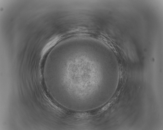 X0000074340245200609011635