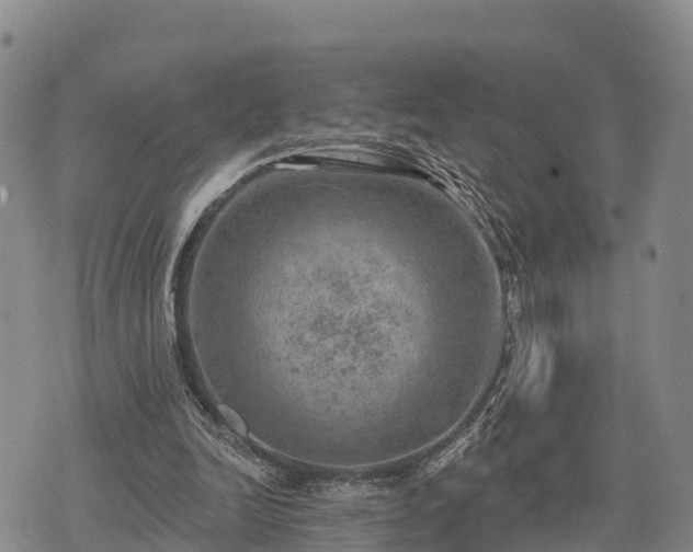 X0000074340246200609011635