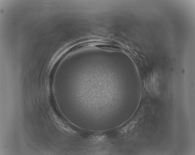 X0000074340247200609011635