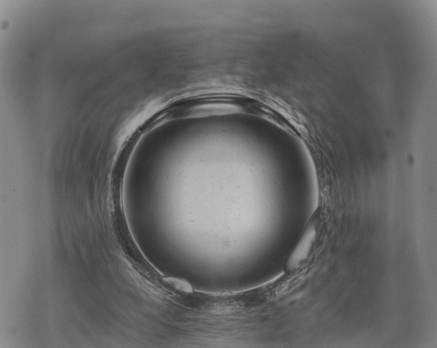 X0000074340248200609011635