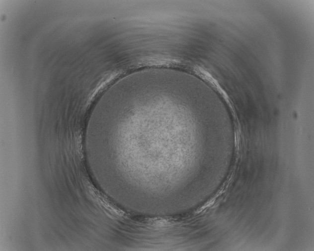 X0000074340249200609011635