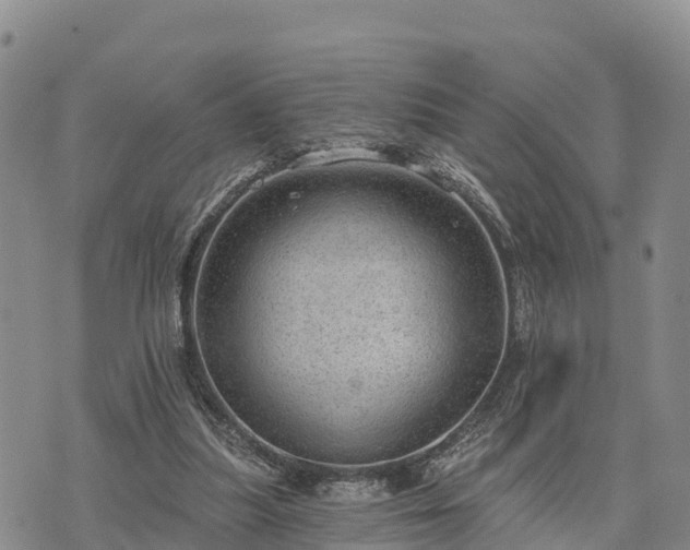 X0000074340251200609011635