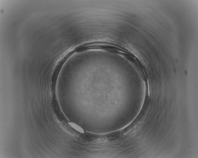 X0000074340252200609011635