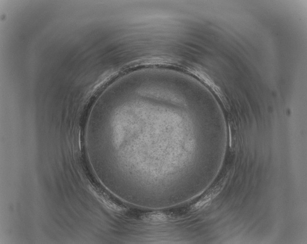 X0000074340253200609011635