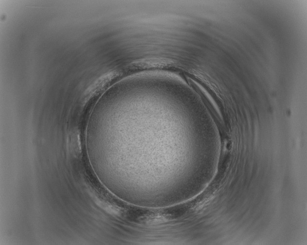 X0000074340254200609011635