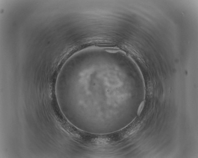 X0000074340255200609011635