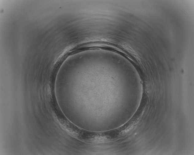 X0000074340256200609011635