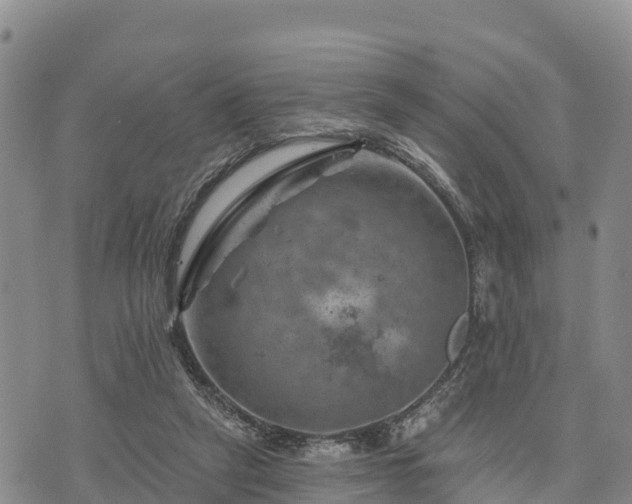 X0000074340257200609011635