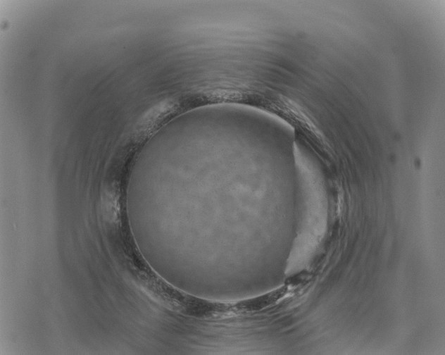 X0000074340259200609011635