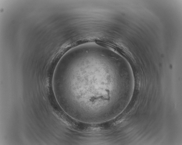 X0000074340260200609011635